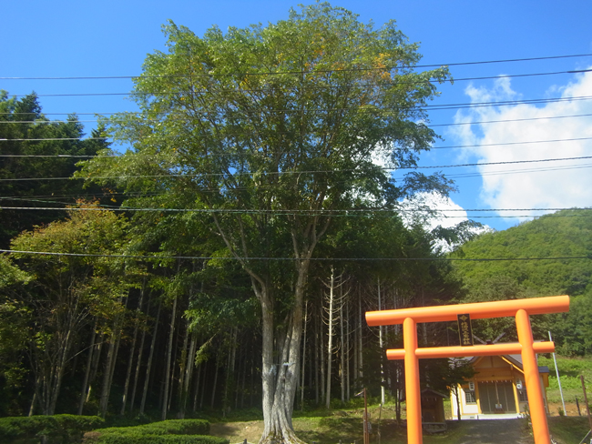 神社